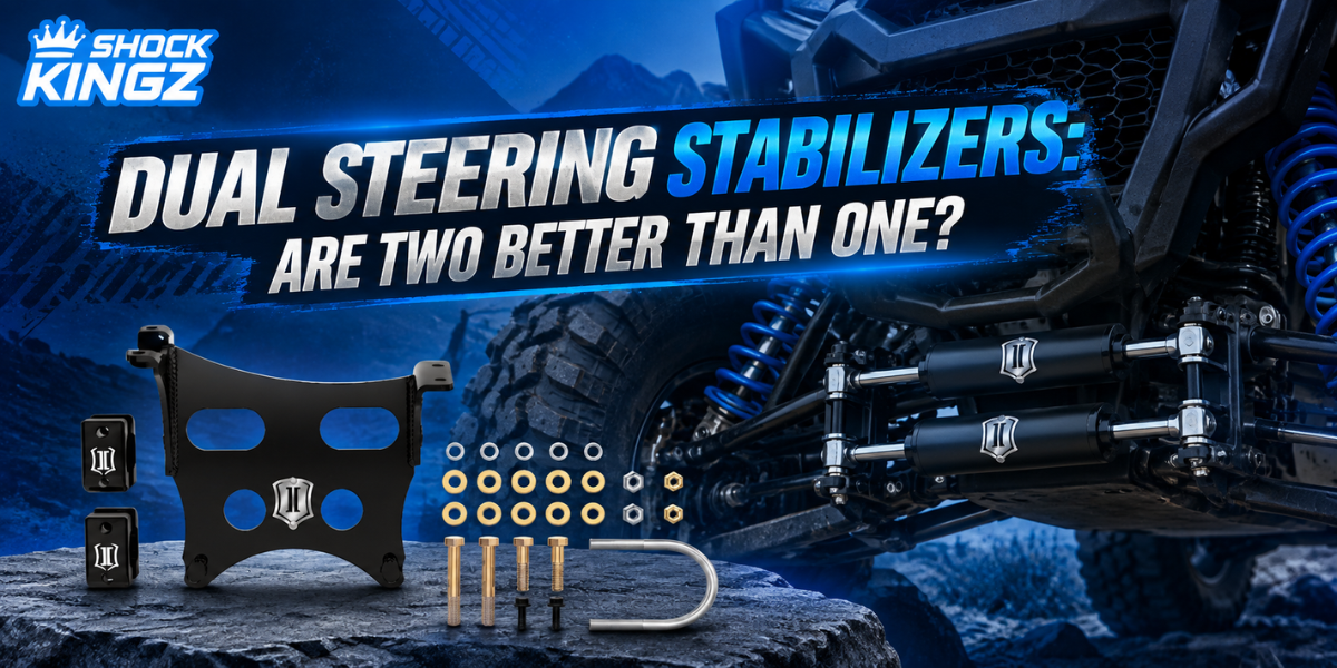 Dual Steering Stabilizers: Are Two Better Than One?