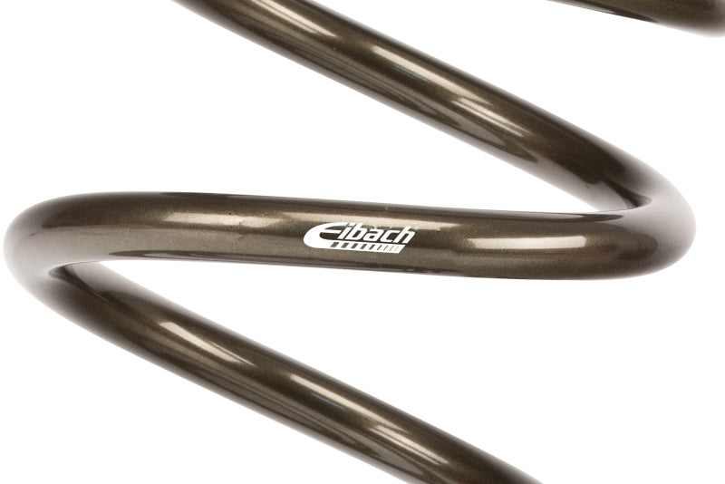 Eibach ERS 11in L x 5.00in OD Platinum Rear Spring - 200 lbs/in